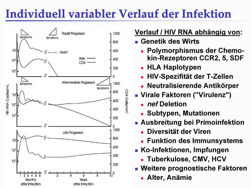 Faktoren ("Virulenz") nef Deletion Subtypen, Mutationen Ausbreitung bei Primoinfektion Diversität der Viren