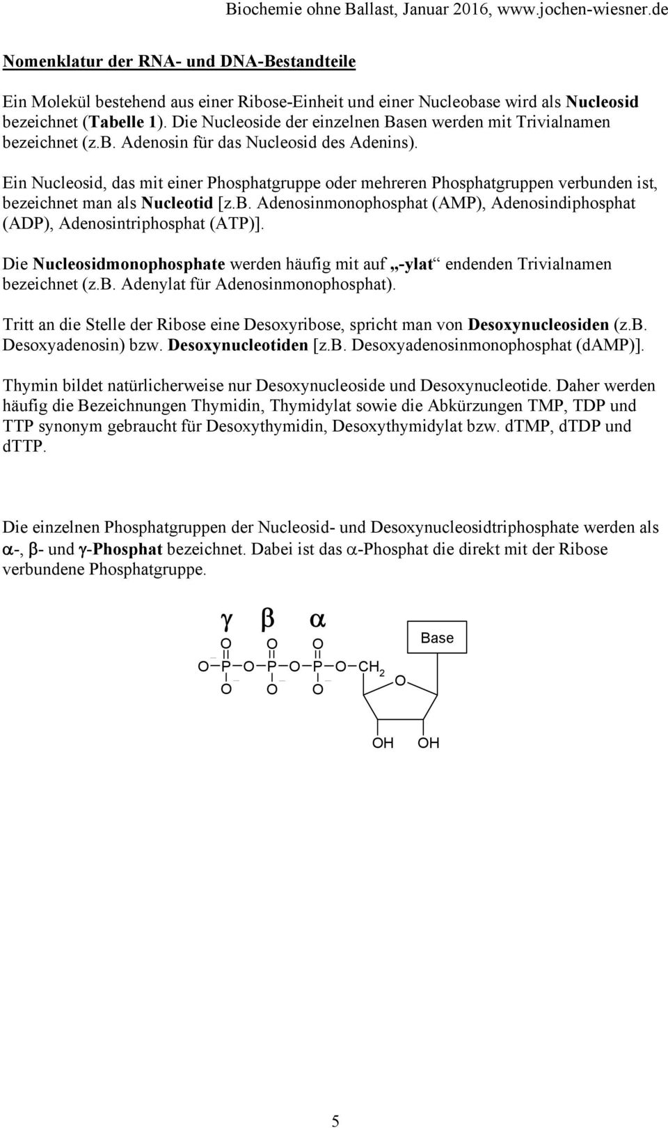 Ein ucleosid, das mit einer hosphatgruppe oder mehreren hosphatgruppen verbunden ist, bezeichnet man als ucleotid [z.b. Adenosinmonophosphat (AM), Adenosindiphosphat (AD), Adenosintriphosphat (AT)].