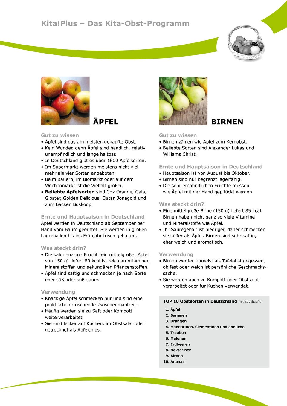 Beliebte Apfelsorten sind Cox Orange, Gala, Gloster, Golden Delicious, Elstar, Jonagold und zum Backen Boskoop. Äpfel werden in Deutschland ab September per Hand vom Baum geerntet.