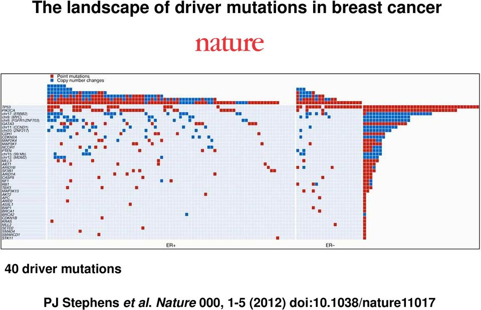 mutations PJ Stephens et al.