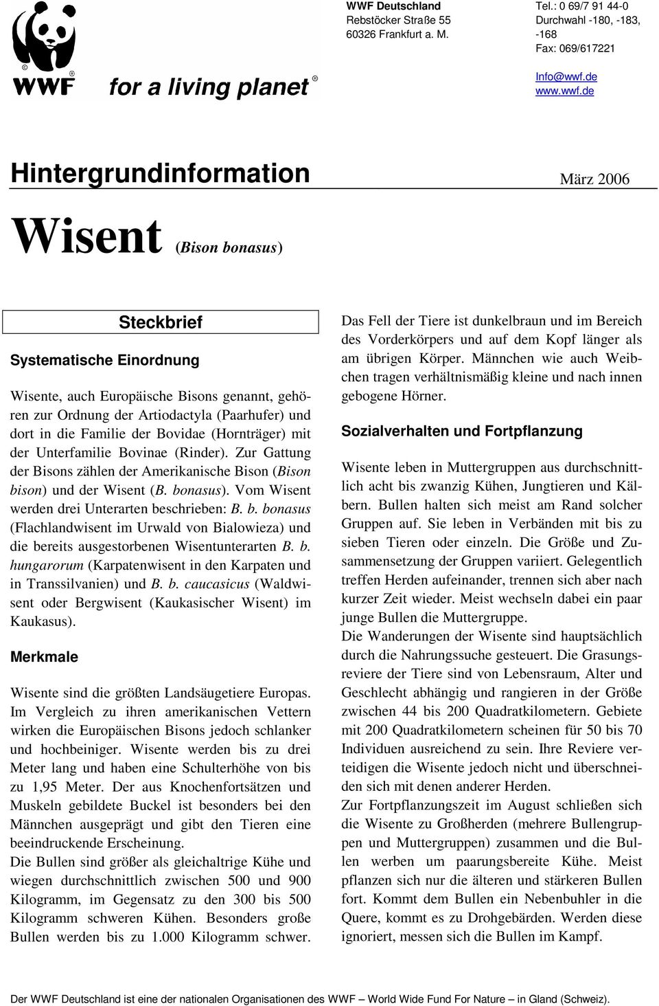 de Hintergrundinformation März 2006 Wisent (Bison bonasus) Steckbrief Systematische Einordnung Wisente, auch Europäische Bisons genannt, gehören zur Ordnung der Artiodactyla (Paarhufer) und dort in