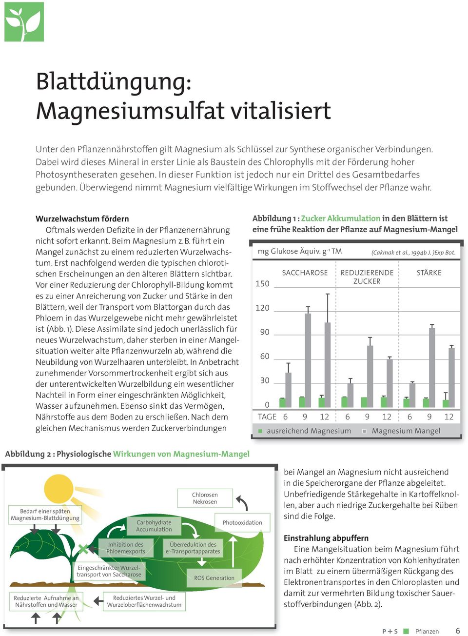 Überwiegend nimmt Magnesium vielfältige Wirkungen im Stoffwechsel der Pflanze wahr. Wurzelwachstum fördern Oftmals werden Defizite in der Pflanzenernährung nicht sofort erkannt. Beim Magnesium z.b. führt ein Mangel zunächst zu einem reduzierten Wurzelwachstum.