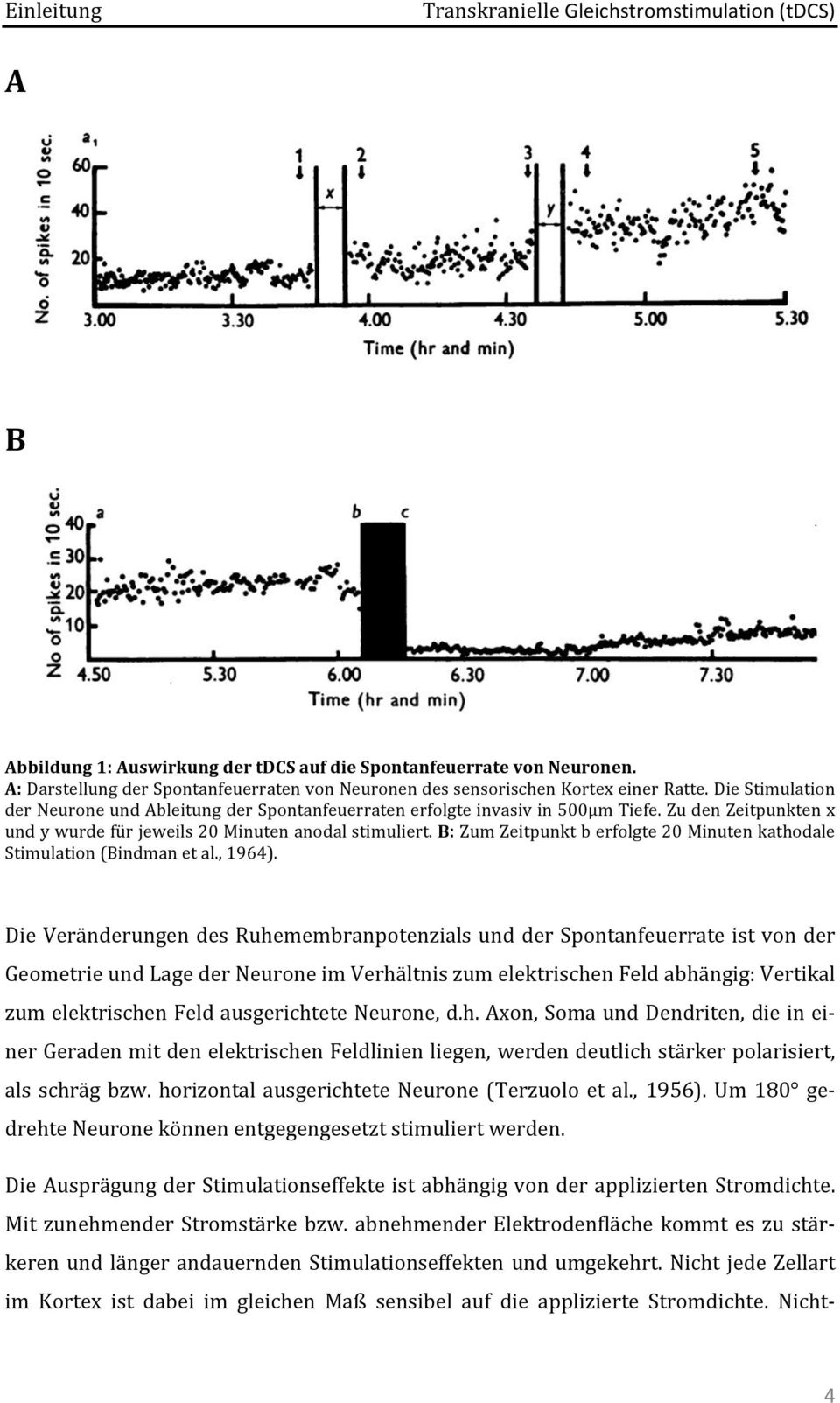 Zu den Zeitpunkten x und y wurde für jeweils 20 Minuten anodal stimuliert. B: Zum Zeitpunkt b erfolgte 20 Minuten kathodale Stimulation (Bindman et al., 1964).