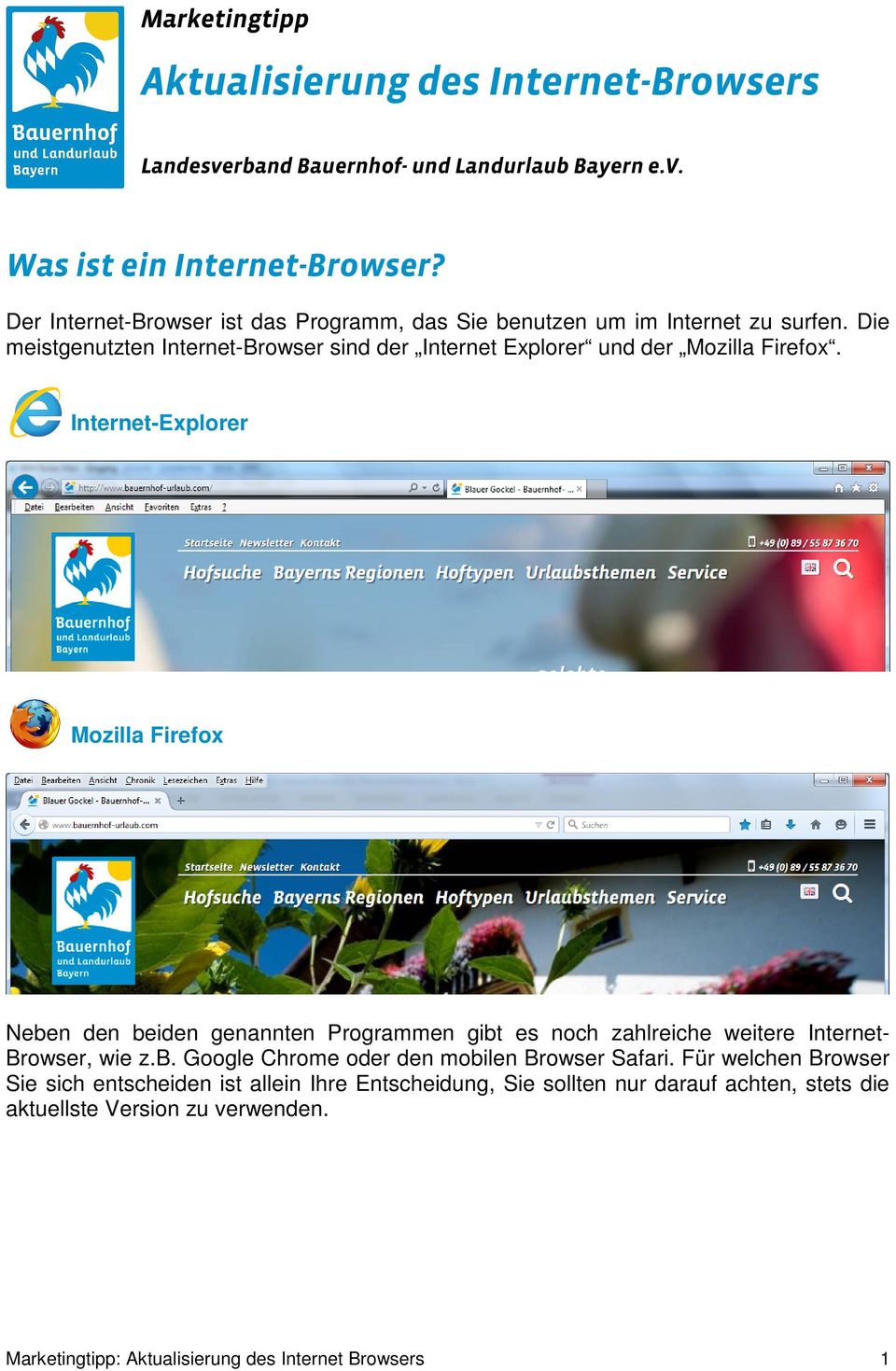 Internet-Explorer Mozilla Firefox Neben den beiden genannten Programmen gibt es noch zahlreiche weitere InternetBrowser, wie z.b. Google Chrome oder den mobilen Browser Safari.