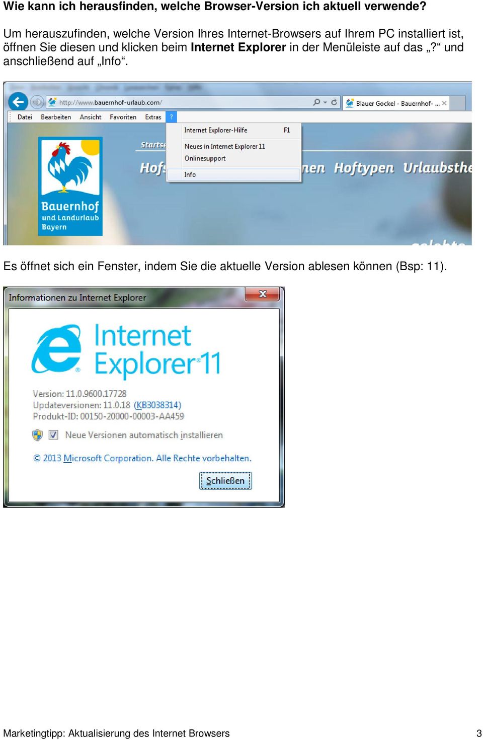 diesen und klicken beim Internet Explorer in der Menüleiste auf das? und anschließend auf Info.
