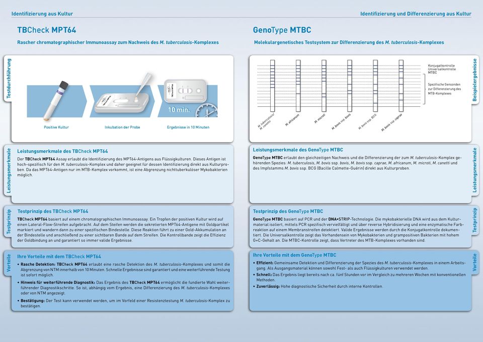 tuberculosiskomplexes Testdurchführung C ID T Universalkontrolle MTBC Spezifische Gensonden zur Differenzierung des MTBKomplexes Positive Kultur Inkubation der Probe 0 min. 0 min. Ergebnisse in 0 Minuten M.