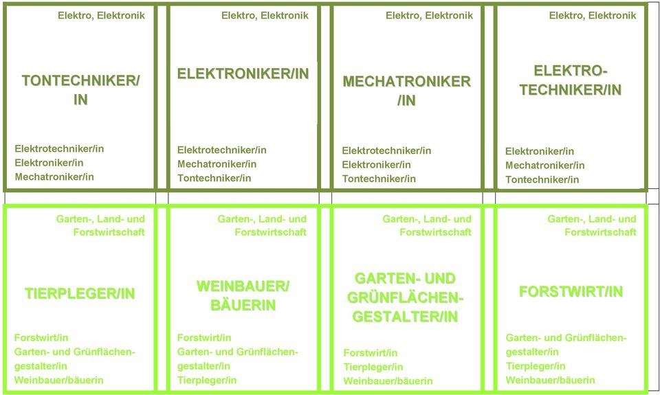 Land- und Forstwirtschaft Garten-, Land- und Forstwirtschaft Garten-, Land- und Forstwirtschaft TIERPLEGER/IN WEINBAUER/ BÄUERIN GARTEN- UND GRÜNFLÄCHEN- GESTALTER/IN FORSTWIRT/IN Forstwirt/in