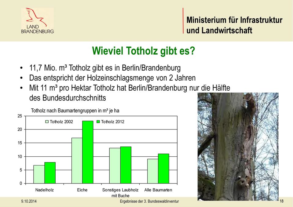 11 m³ pro Hektar Totholz hat Berlin/Brandenburg nur die Hälfte des Bundesdurchschnitts Ministerium