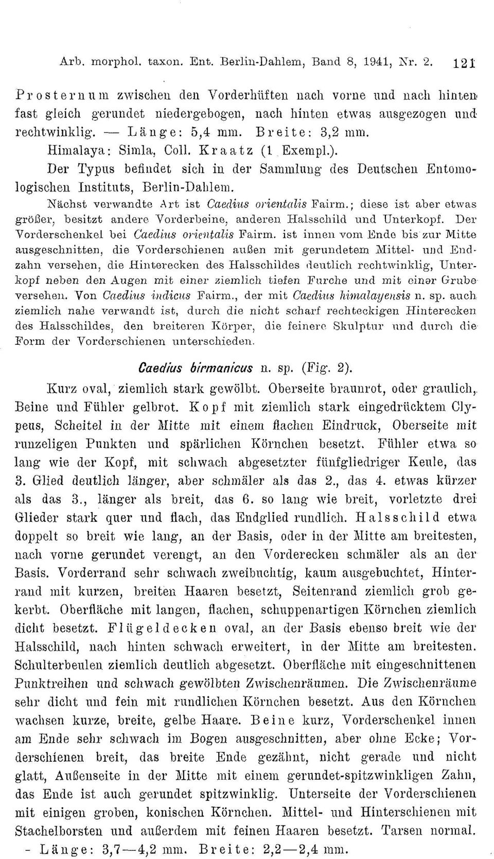 Himalaya: Simla, Coll. Kraatz (1 Exempl.). Der Typus befindet sich in der Sammlung 1 des Deutschen Entomologischen Instituts, Berlin-Dahlem. Nächst verwandte Art ist Caedius orientalis Fairm.