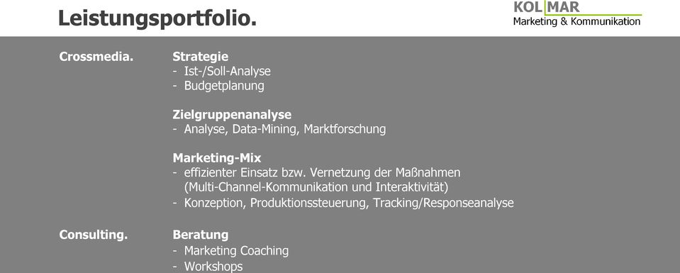 Data-Mining, Marktforschung Marketing-Mix - effizienter Einsatz bzw.