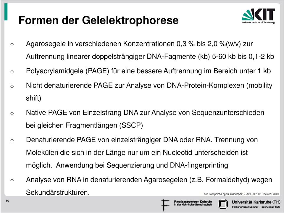 Einzelstrang DNA zur Analyse von Sequenzunterschieden bei gleichen Fragmentlängen (SSCP) Denaturierende PAGE von einzelsträngiger DNA oder RNA.