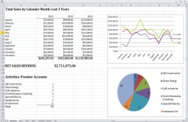 Dashboards & Berichte Benutzer-definierbare Excel Berichte