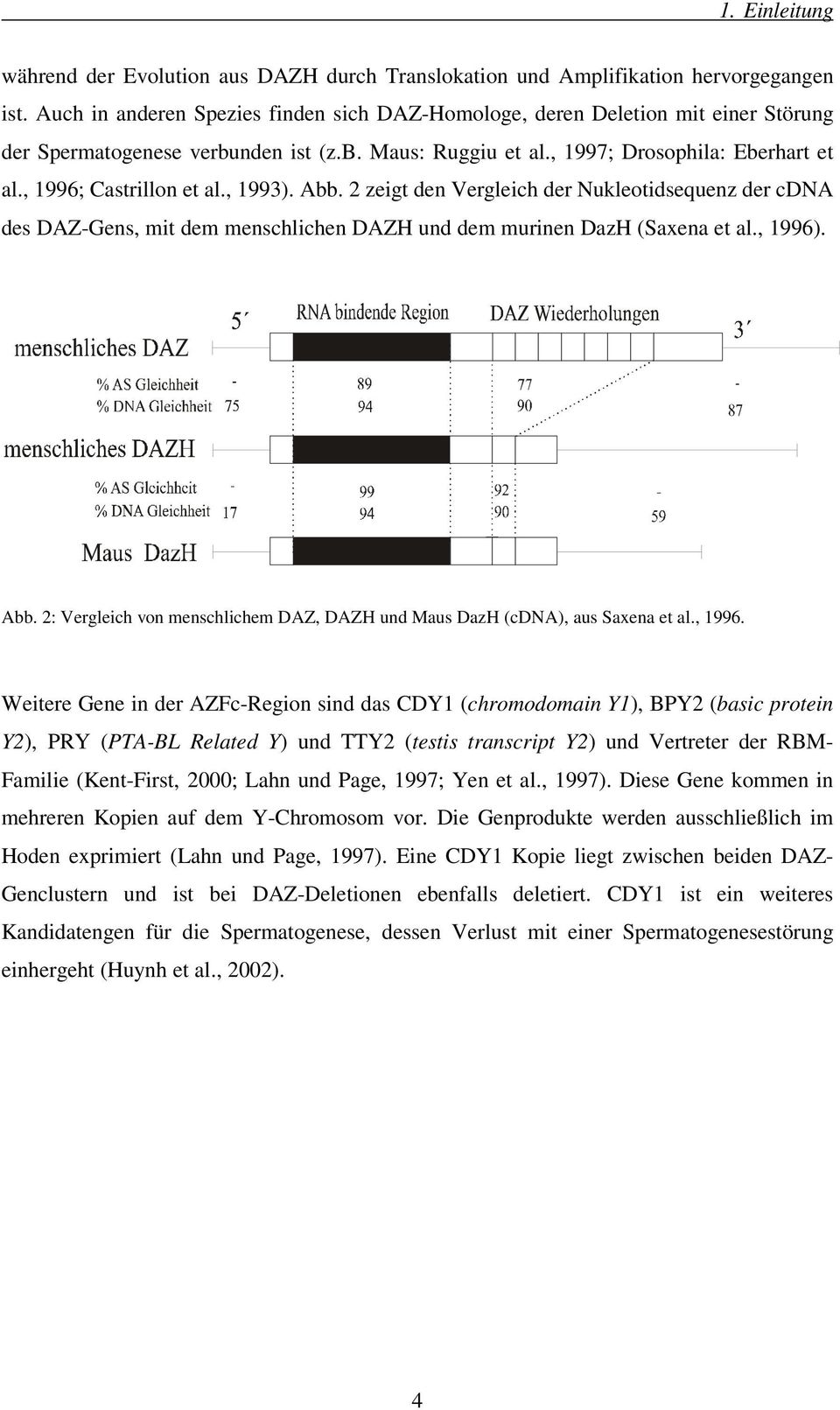 , 1996; Castrillon et al., 1993). Abb. 2 zeigt den Vergleich der Nukleotidsequenz der cdna des DAZ-Gens, mit dem menschlichen DAZH und dem murinen DazH (Saxena et al., 1996). Abb. 2: Vergleich von menschlichem DAZ, DAZH und Maus DazH (cdna), aus Saxena et al.