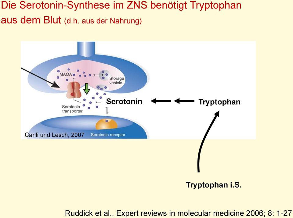 aus der Nahrung) Serotonin Tryptophan Canli und