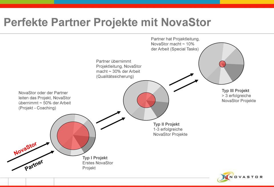 der Partner leiten das Projekt, NovaStor übernimmt ~ 50% der Arbeit (Projekt - Coaching) Typ III Projekt > 3