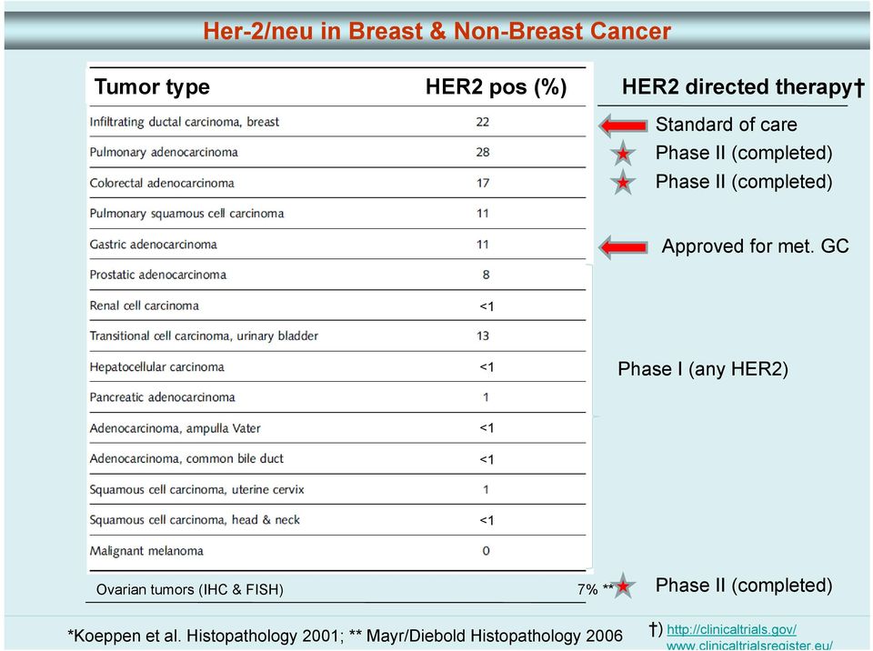 GC <1 <1 Phase I (any HER2) <1 <1 <1 Ovarian tumors (IHC & FISH) 7% ** Phase II (completed)