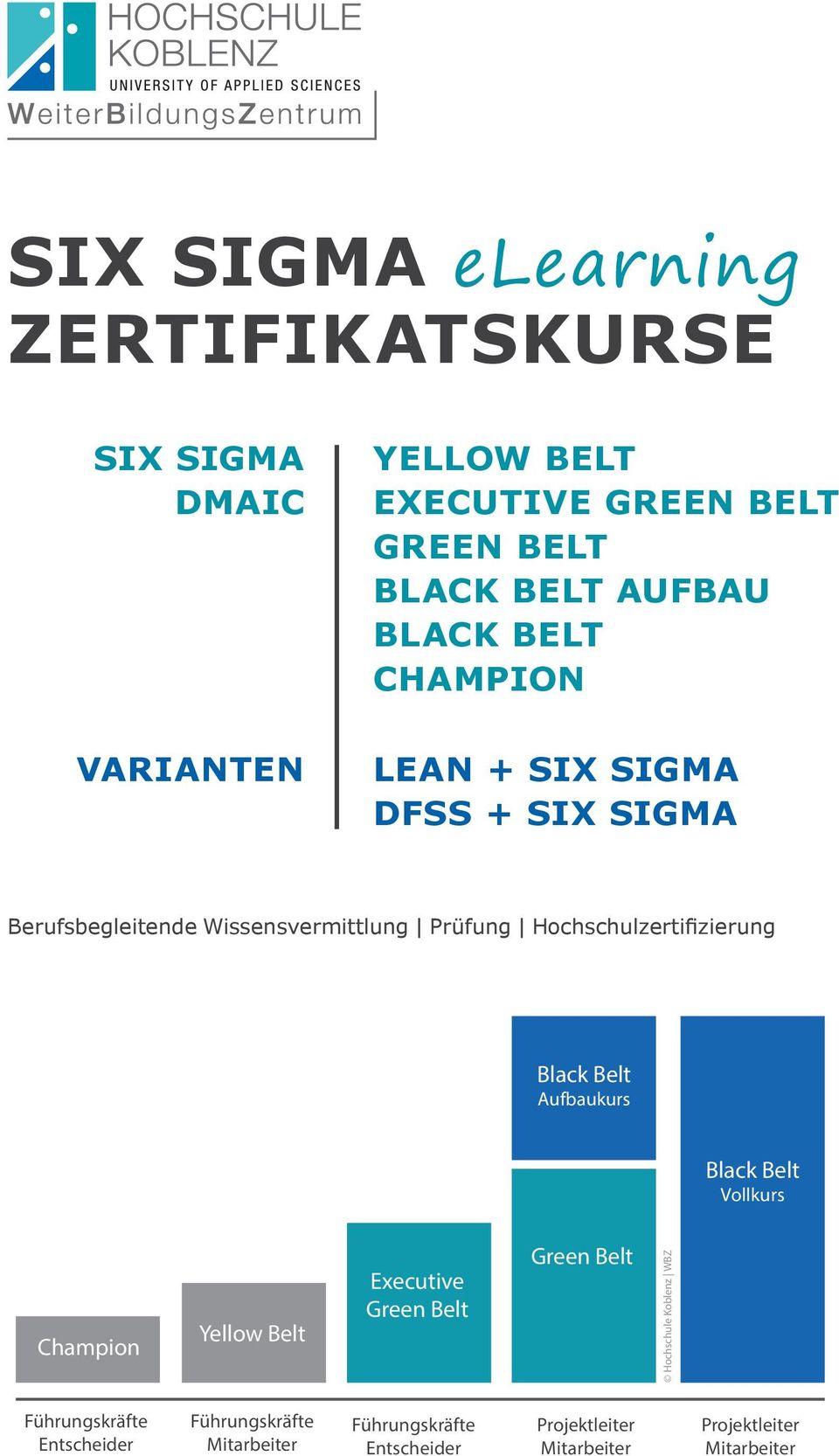 Hochschulzertifizierung Black Belt Aufbaukurs Black Belt Vollkurs Champion Yellow Belt Executive Green Belt Green Belt