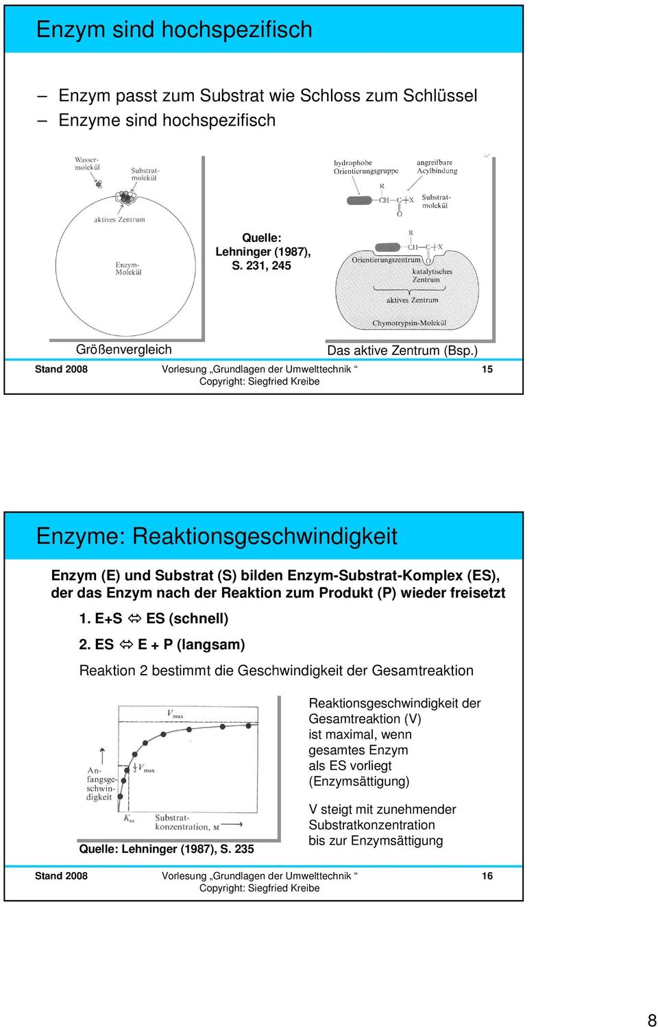 ) 15 Enzyme: Reaktionsgeschwindigkeit Enzym (E) und Substrat (S) bilden Enzym-Substrat-Komplex (ES), der das Enzym nach der Reaktion zum Produkt (P) wieder freisetzt 1.