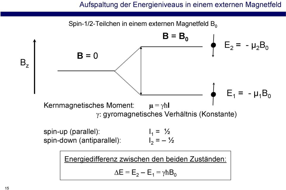 γ: gyromagnetisches Verhältnis (Konstante) E 1 = - µ 1 B 0 spin-up (parallel): spin-down