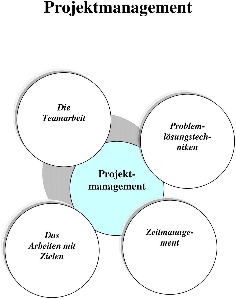 Zielen Projektmanagement