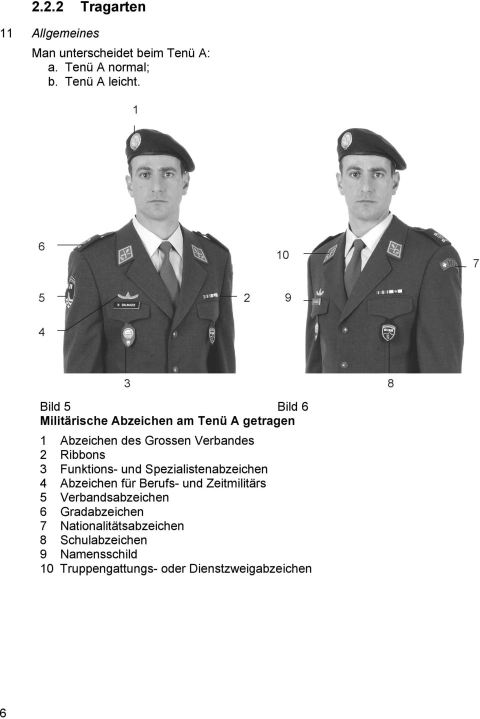 Verbandes 2 Ribbons 3 Funktions- und Spezialistenabzeichen 4 Abzeichen für Berufs- und Zeitmilitärs 5
