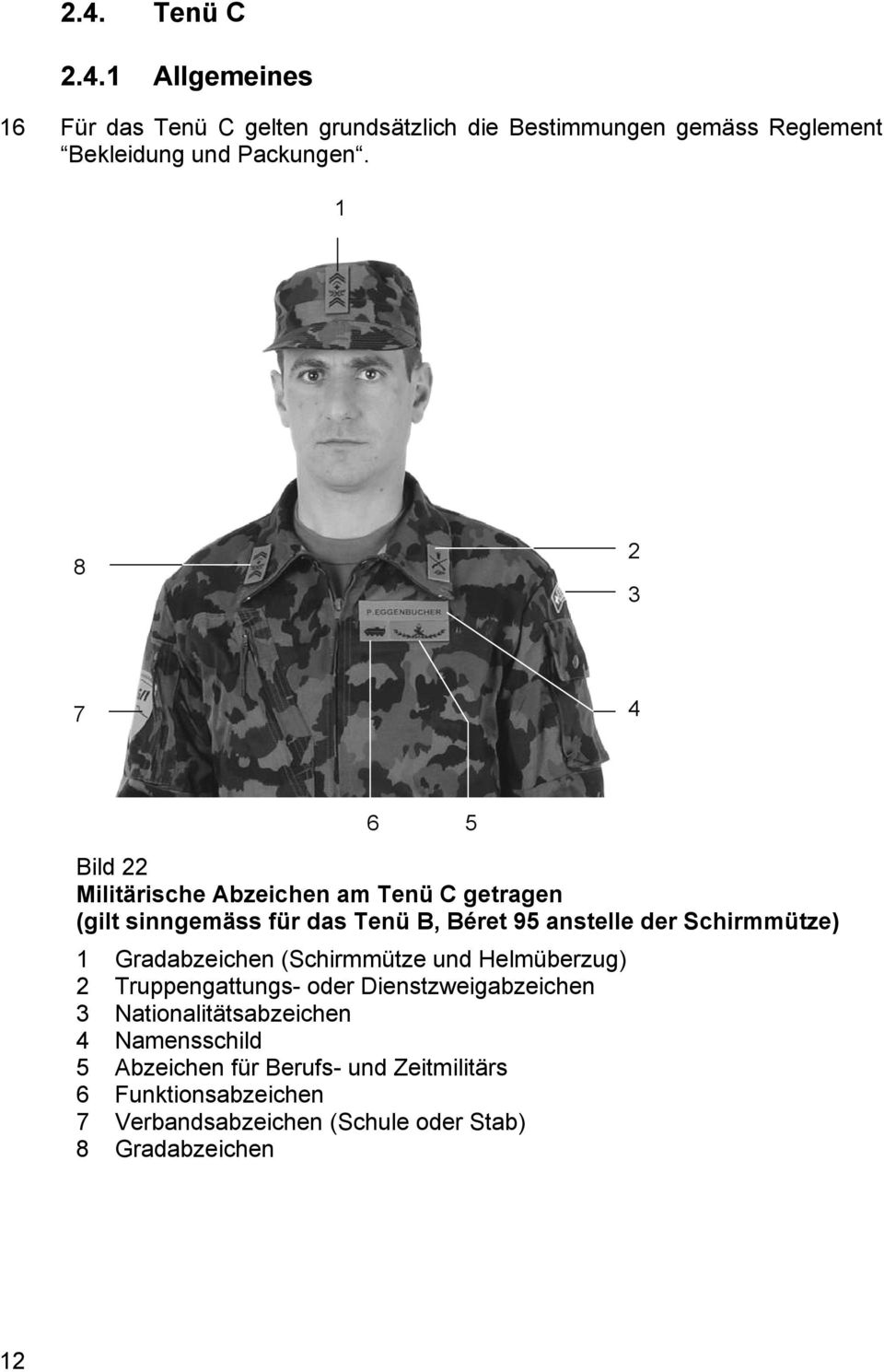 Schirmmütze) 1 Gradabzeichen (Schirmmütze und Helmüberzug) 2 Truppengattungs- oder Dienstzweigabzeichen 3 Nationalitätsabzeichen