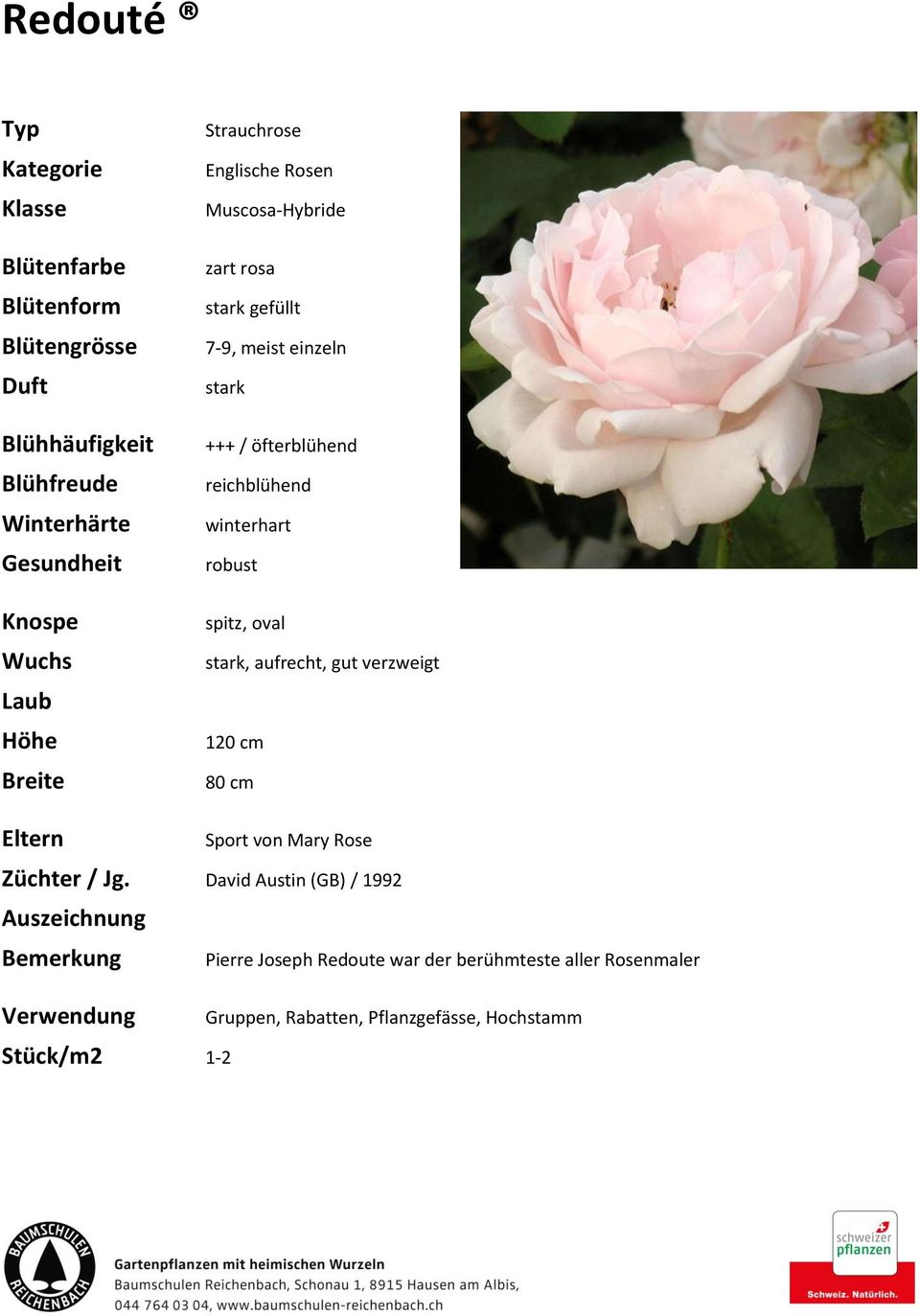 Rose Züchter / Jg.
