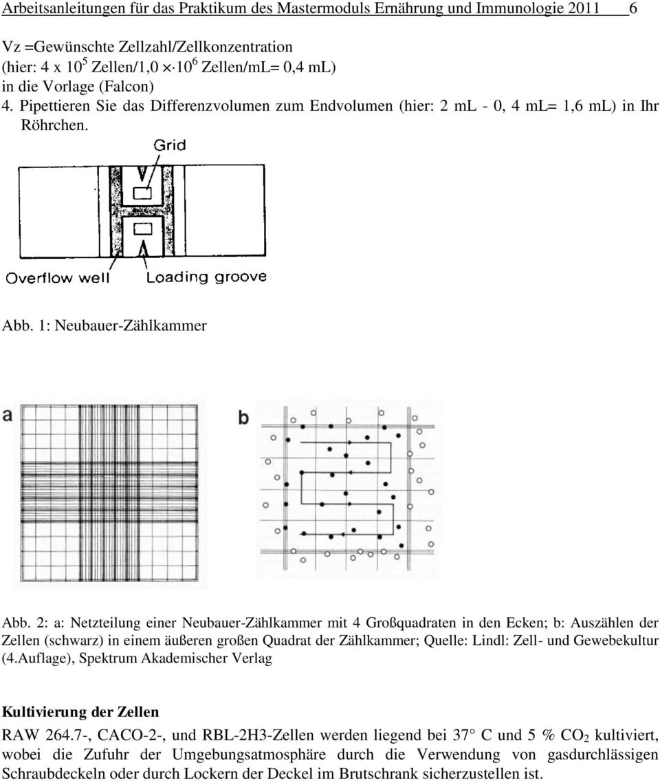2: a: Netzteilung einer Neubauer-Zählkammer mit 4 Großquadraten in den Ecken; b: Auszählen der Zellen (schwarz) in einem äußeren großen Quadrat der Zählkammer; Quelle: Lindl: Zell- und Gewebekultur