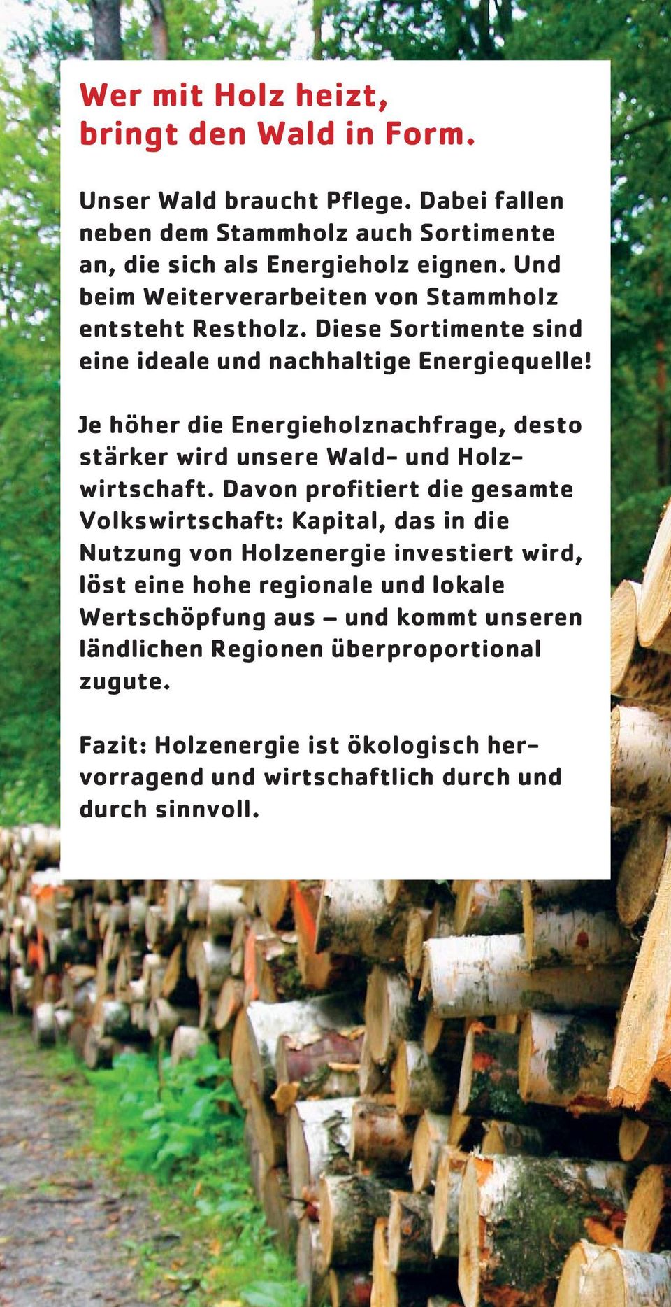 Je höher die Energieholznachfrage, desto stärker wird unsere Wald- und Holzwirtschaft.