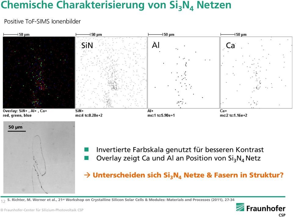 Si 3 Netz Unterscheiden sich Si 3 Netze & Fasern in Struktur? S. Richter, M. Werner et al.
