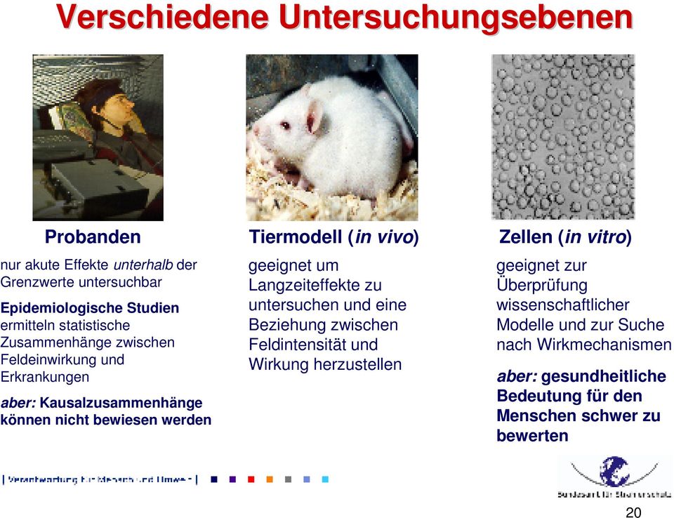 nicht bewiesen werden geeignet um Langzeiteffekte zu untersuchen und eine Beziehung zwischen Feldintensität und Wirkung herzustellen