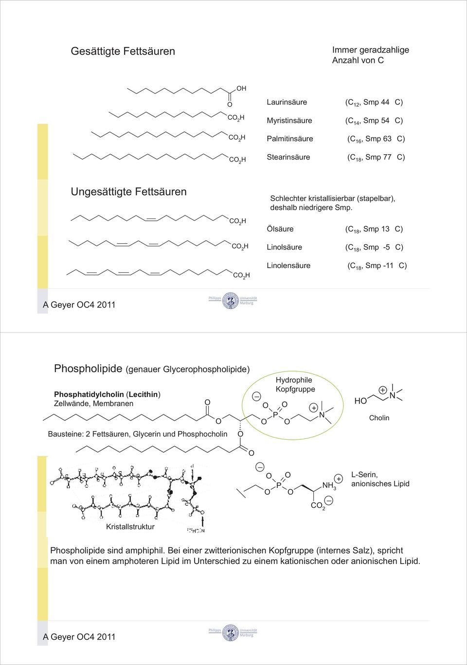 Ölsäure (C 18, Smp 13 C) Linolsäure (C 18, Smp -5 C) Linolensäure (C 18, Smp -11 C) A Geyer C4 2011 Phospholipide (genauer Glycerophospholipide) Phosphatidylcholin (Lecithin) Zellwände, Membranen