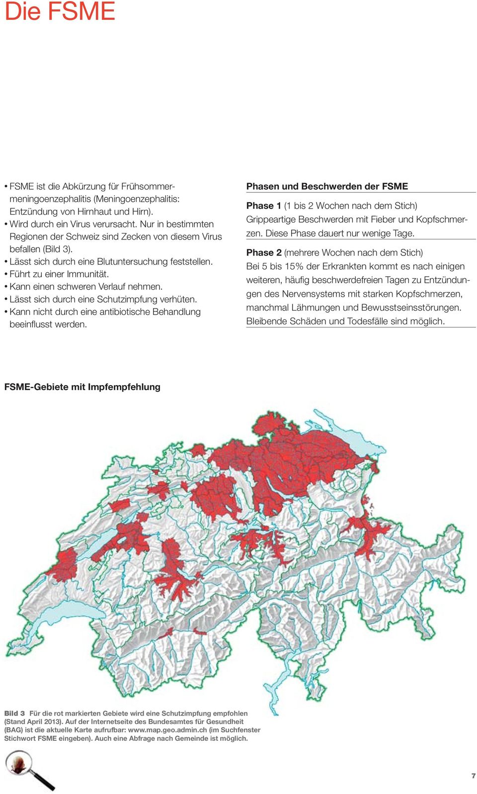 Lässt sich durch eine Schutzimpfung verhüten. Kann nicht durch eine antibiotische Behandlung beeinflusst werden.