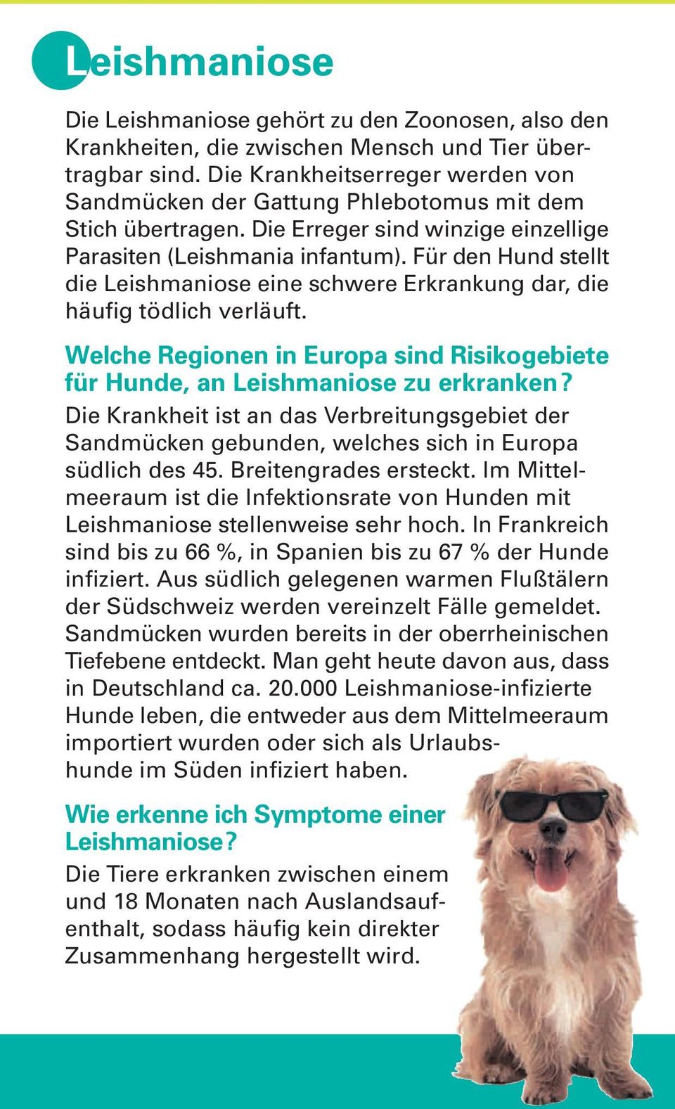Für den Hund stellt die Leishmaniose eine schwere Erkrankung dar, die häufig tödlich verläuft. Welche Regionen in Europa sind Risikogebiete für Hunde, an Leishmaniose zu erkranken?