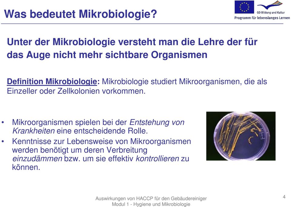 Mikrobiologie: Mikrobiologie studiert Mikroorganismen, die als Einzeller oder Zellkolonien vorkommen.