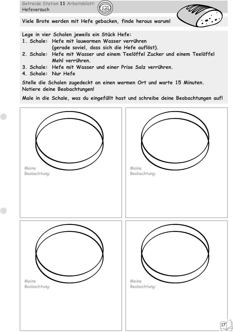 Schale: Hefe mit Wasser und einem Teelöffel Zucker und einem Teelöffel Mehl verrühren. 3. Schale: Hefe mit Wasser und einer Prise Salz verrühren. 4.