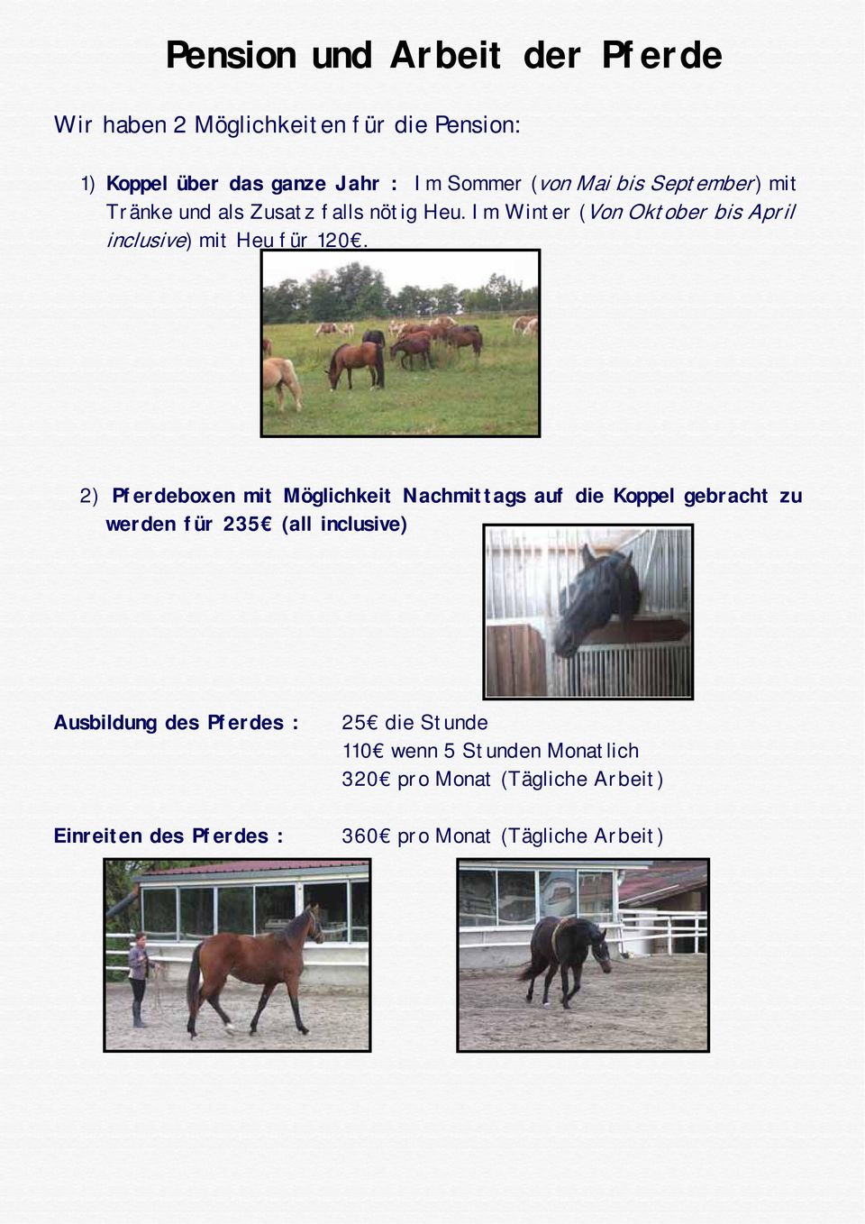 2) Pferdeboxen mit Möglichkeit Nachmittags auf die Koppel gebracht zu werden für 235 (all inclusive) Ausbildung des Pferdes