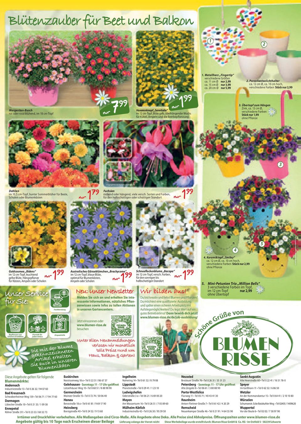 3 cm Ø, verschiedene Farben Stück, 3 Dahlien im 0,5 cm-topf, bunter Sommerblüher für Beete, Schalen oder Blumenkästen 79 Fuchsien stehend oder hängend, viele versch.