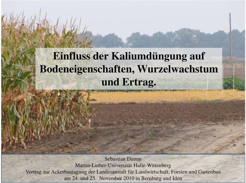 Sebastian Damm Martin-Luther-Universität Halle-Wittenberg Vortrag
