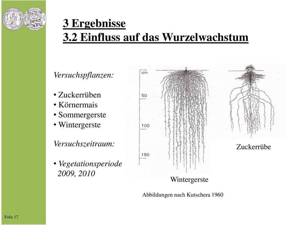 Zuckerrüben Körnermais Sommergerste Wintergerste