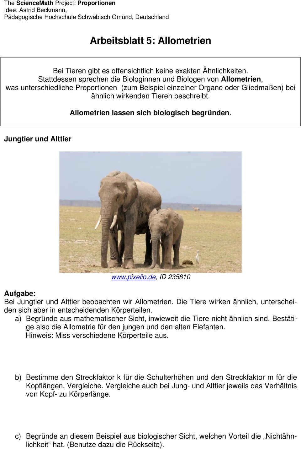 Allometrien lassen sich biologisch begründen. Jungtier und Alttier www.pixelio.de, ID 235810 Aufgabe: Bei Jungtier und Alttier beobachten wir Allometrien.