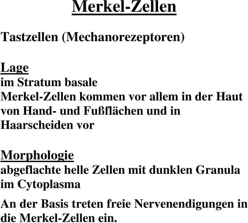 Haarscheiden vor Morphologie abgeflachte helle Zellen mit dunklen Granula