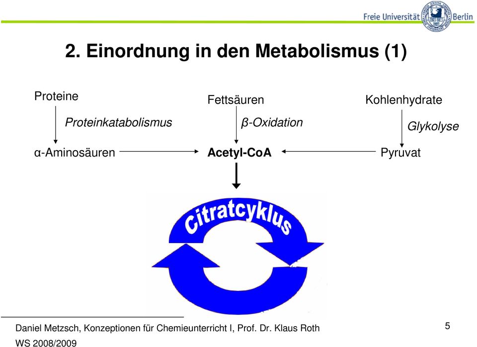Kohlenhydrate Proteinkatabolismus