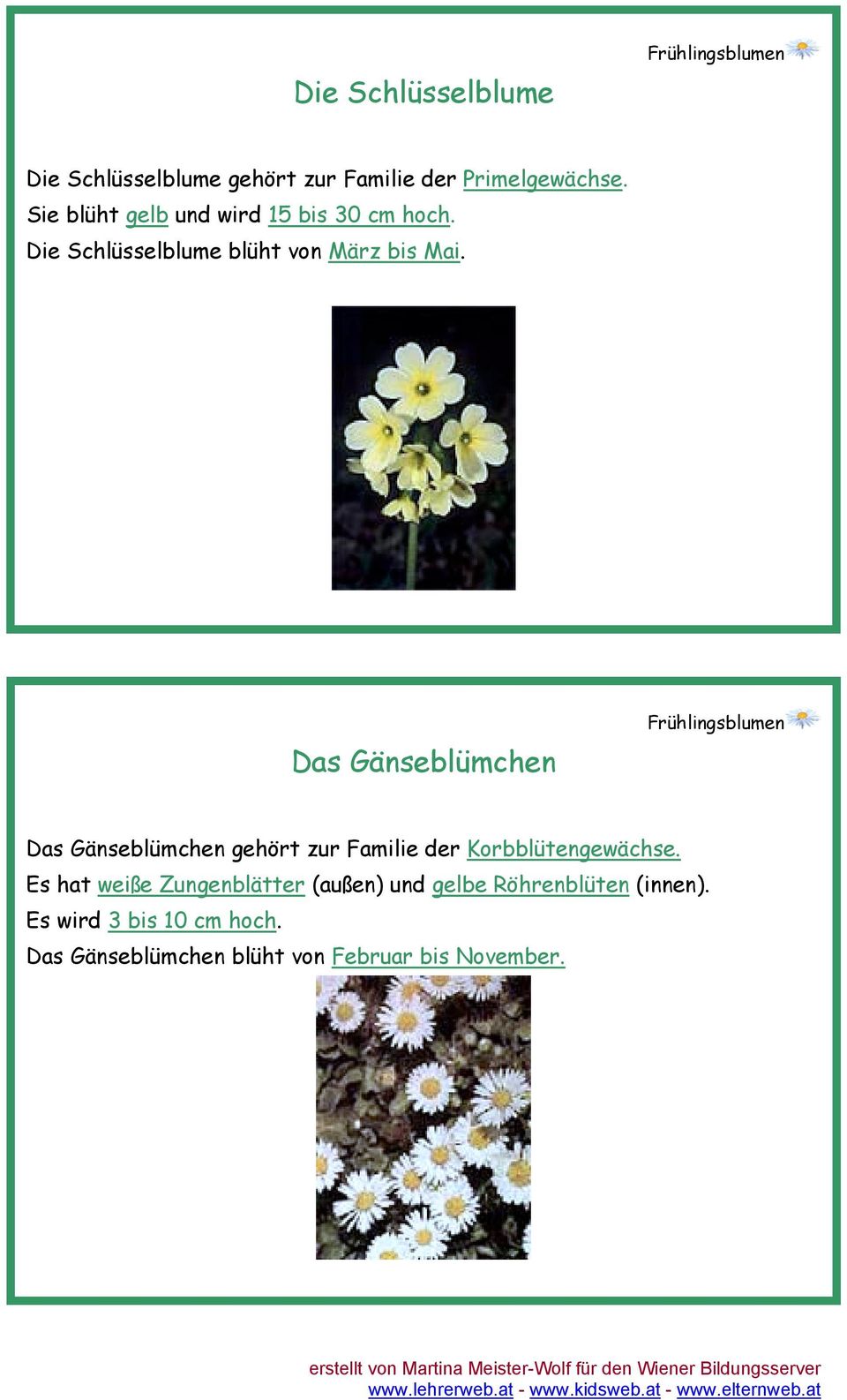 Das Gänseblümchen Das Gänseblümchen gehört zur Familie der Korbblütengewächse.