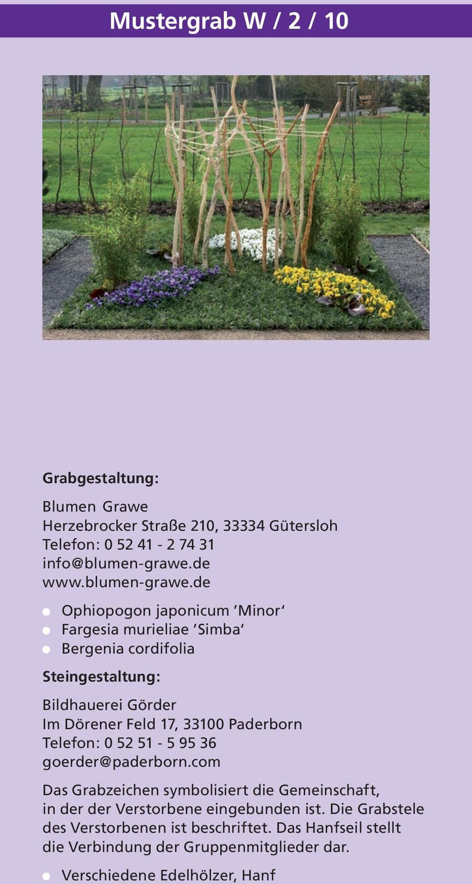 de Ophiopogon japonicum Minor Fargesia murieliae Simba Bergenia cordifolia Bildhauerei Görder Im Dörener Feld 17, 33100 Paderborn