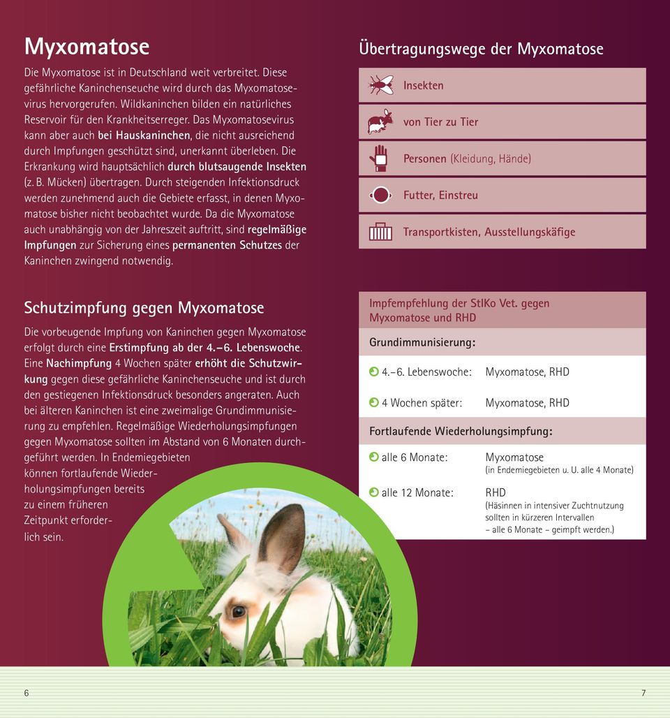 Das Myxomatosevirus kann aber auch bei Hauskaninchen, die nicht ausreichend durch Impfungen geschützt sind, unerkannt überleben. Die Erkrankung wird hauptsächlich durch blutsaugende Insekten (z. B.
