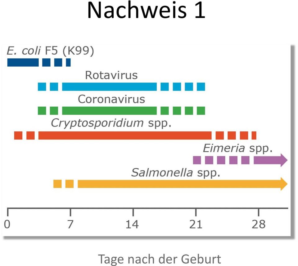 nach der