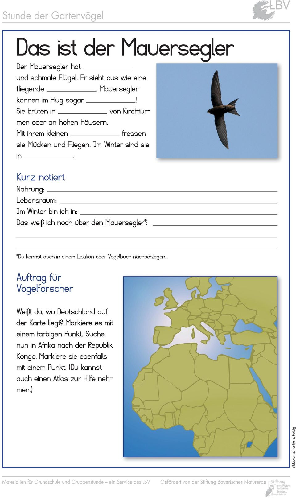 Das weiß ich noch über den Mauersegler*: Auftrag für Vogelforscher Weißt du, wo Deutschland auf der Karte liegt?