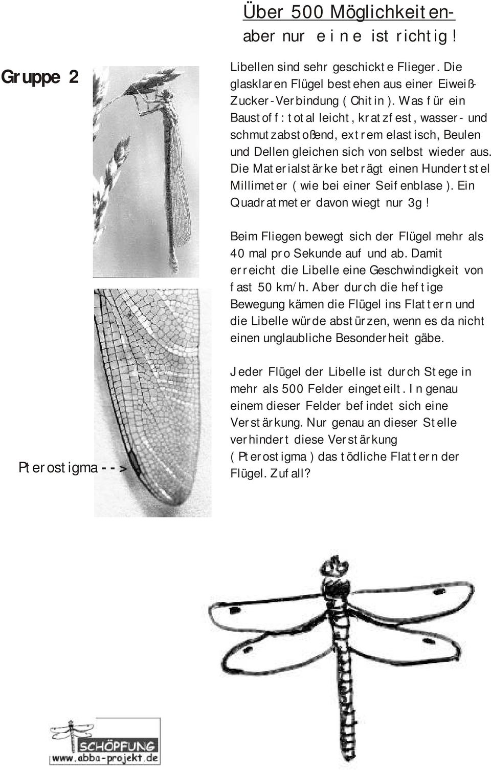 Die Materialstärke beträgt einen Hundertstel Millimeter ( wie bei einer Seifenblase ). Ein Quadratmeter davon wiegt nur 3g! Beim Fliegen bewegt sich der Flügel mehr als 40 mal pro Sekunde auf und ab.