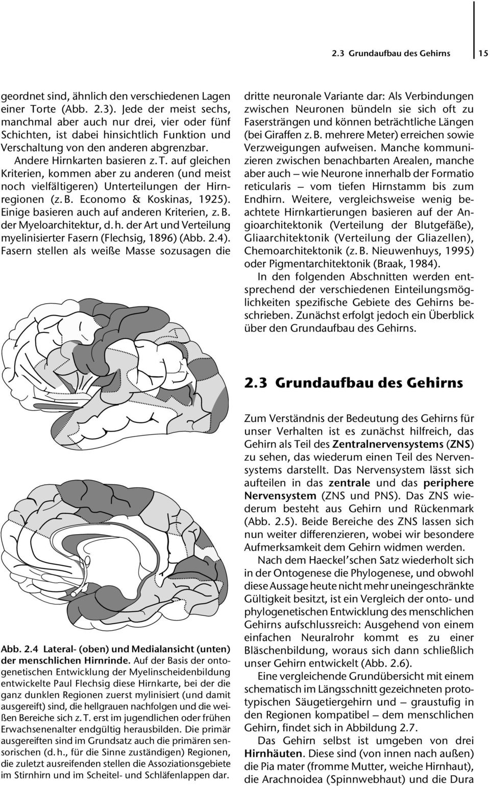 auf gleichen Kriterien, kommen aber zu anderen (und meist noch vielfältigeren) Unterteilungen der Hirnregionen (z. B. Economo & Koskinas, 1925). Einige basieren auch auf anderen Kriterien, z. B. der Myeloarchitektur, d.